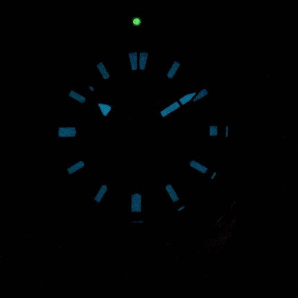 Montre Citizen Promaster Marine Scuba Diver 200M automatique NY0070-83F masculine