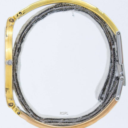 Montre Swatch Skin Tri or Quartz SFK240B féminin