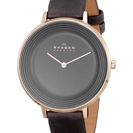 Montre Skagen Ditte Quartz cadran gris SKW2216 féminin