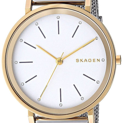 Montre Skagen Hald Quartz SKW2508 féminin