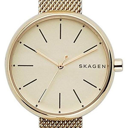 Montre Skagen Signatur Quartz SKW2614 féminin