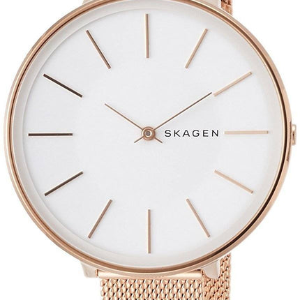 Montre Quartz Skagen Karolina SKW2688 féminin