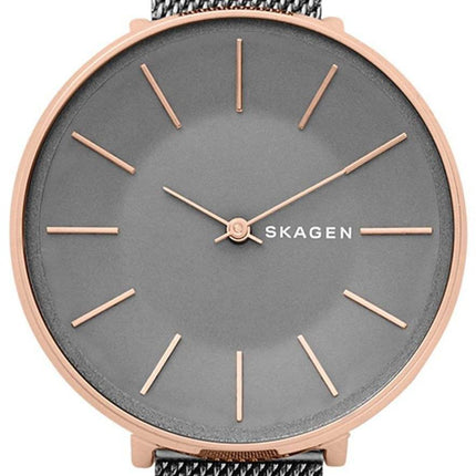 Montre Quartz Skagen Karolina SKW2689 féminin