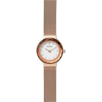 Montre pour femme Skagen Leonora SKW2799 avec diamants et quartz