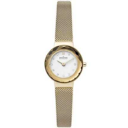Montre pour femme Skagen Leonora SKW2800 avec diamants et quartz