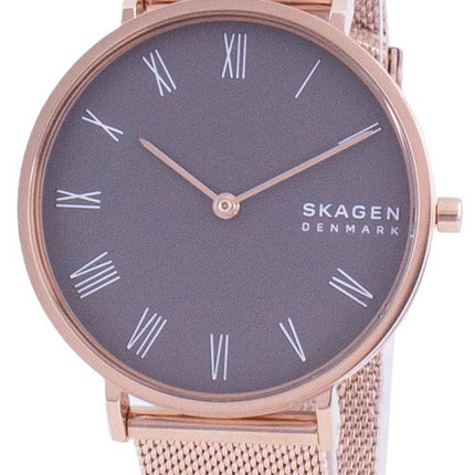 Montre femme Skagen Hald SKW2813 Quartz