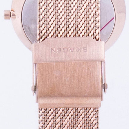 Montre femme Skagen Hald SKW2813 Quartz