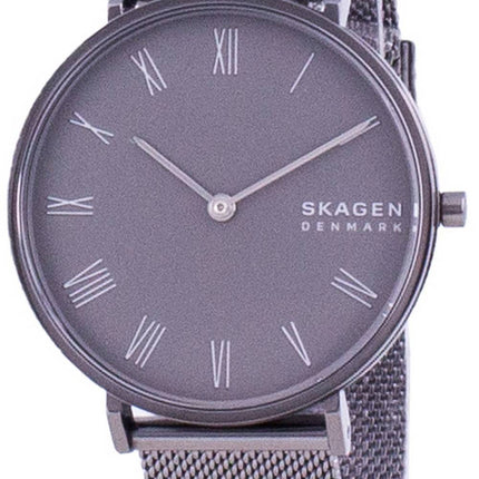 Montre femme Skagen Hald SKW2814 Quartz