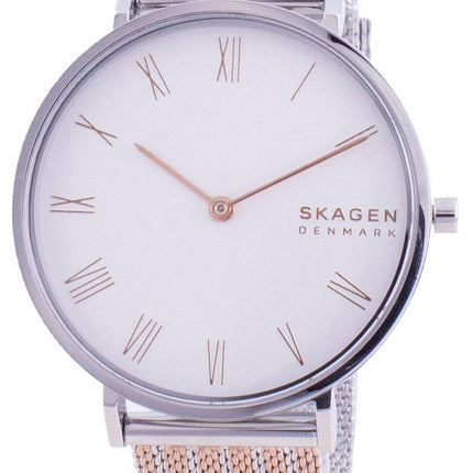 Montre femme Skagen Hald SKW2815 Quartz