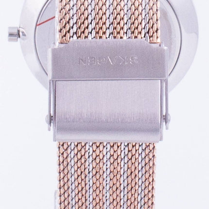 Montre femme Skagen Hald SKW2815 Quartz