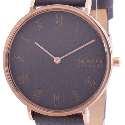 Montre femme Skagen Hald SKW2816 Quartz