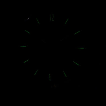 Boîtier en titane de Skagen Melbye avec Mesh Band SKW6007 montre homme