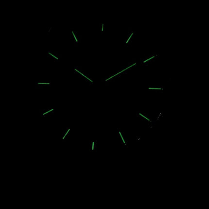 Montre Skagen Holst inox multifonction Quartz SKW6086 masculin