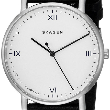 Skagen x Playtype Signatur Quartz SKW6412 montre homme