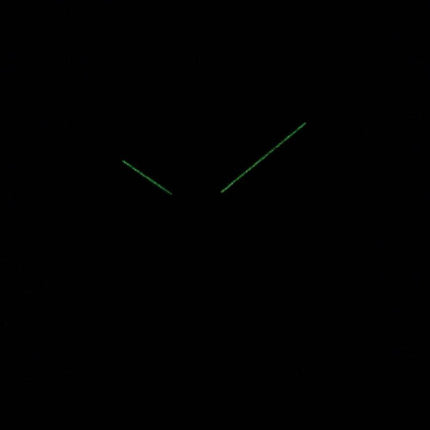 Skagen Signatur solaire recyclé Quartz MK8619 montre homme