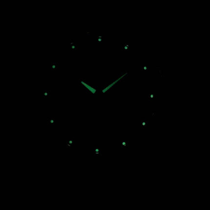 Montre Seiko solaire SNE291 SNE291P1 SNE291P hommes