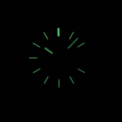 Montre Seiko 5 automatique SNKL79 SNKL79K1 SNKL79K hommes