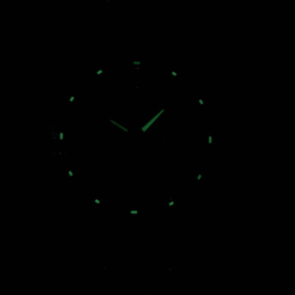 Seiko 5 automatique Japon a SNKN89 SNKN89J1 SNKN89J montre homme