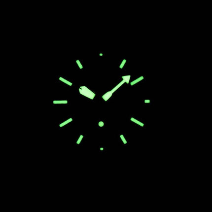 Montre Seiko Chronograph SNN223P1 SNN223P SNN223 hommes