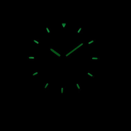 Seiko 5 Sports SNZG11J1-LS18 automatique cuir marron bracelet montre homme