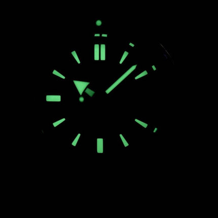 Seiko Prospex Diver automatique SPB053 SPB053J1 SPB053J hommes