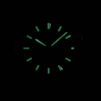 Seiko 5 Sports « Turtle » SRPB15 automatique SRPB15K1 SRPB15K hommes