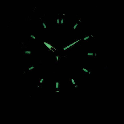 Montre Seiko Prospex SSC599 SSC599P1 SSC599P Chronograph Power Reserve hommes