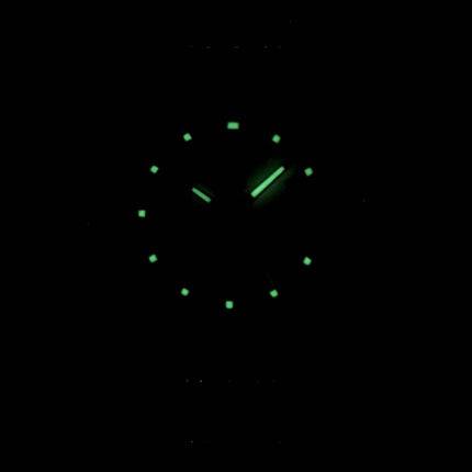 Seiko 5 automatique Japon a SYMB93 SYMB93J1 SYMB93J Women Watch