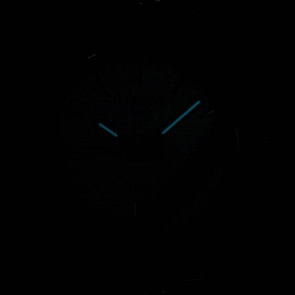 Montre Tissot T-Classic PR 100 Quartz T101.410.11.031.00 T1014101103100 masculin