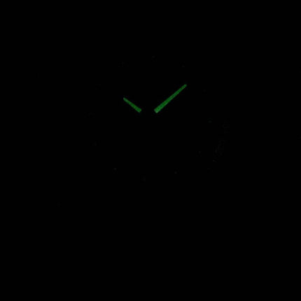 Montre Timex Indiglo Chronographe Quartz T2P043 masculin