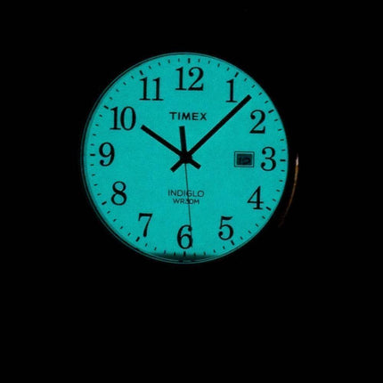 Montre Timex Easy Reader Indiglo Quartz TW2P75600 masculin