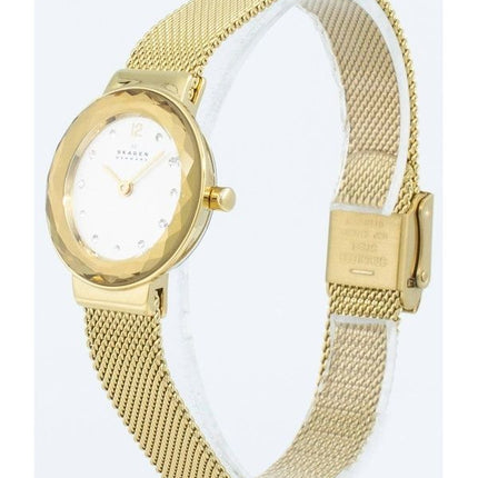 Montre à quartz Skagen Leonora SKW2800 Diamond Accents pour femme remise à neuf
