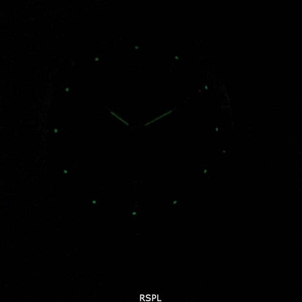 Victorinox Alliance armée suisse petite lune Quartz 241755 Women Watch