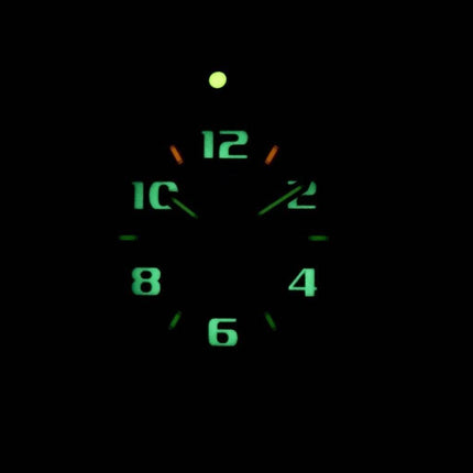 LUMINOX Sentry 0200 série Suisse fait 100M XL.0215.SL montre homme