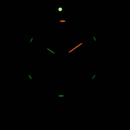 Montre Homme Luminox Seaback Turtle XS.0337 Quartz