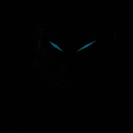 Zeppelin série LZ127 Graf Allemagne fait 7656-5 76565 montre homme